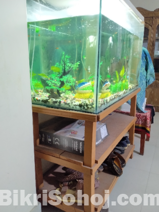 Aquarium For Sale